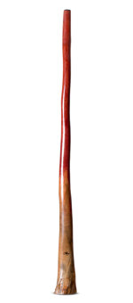 Tristan O'Meara Didgeridoo (TM405)
